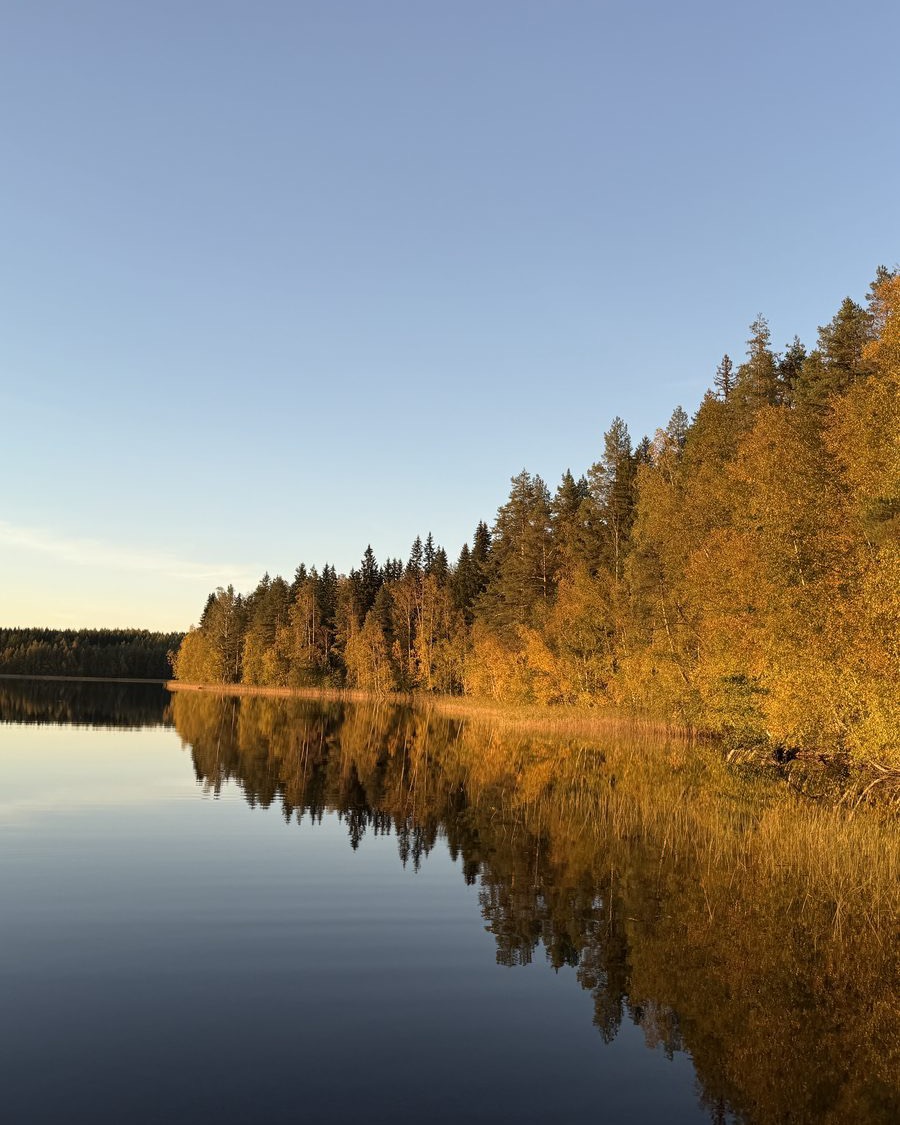 Lago en calma al atardecer con el bosque de otoño reflejado